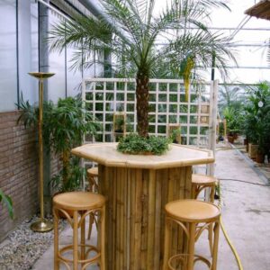 Bamboe statafel met Palm in het midden.