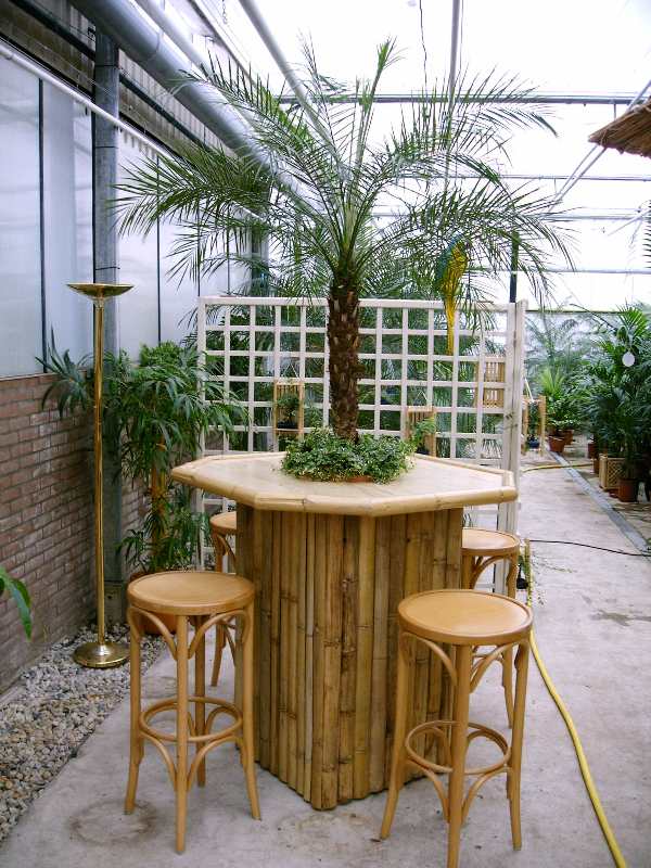 Bamboe statafel met Palm in het midden.