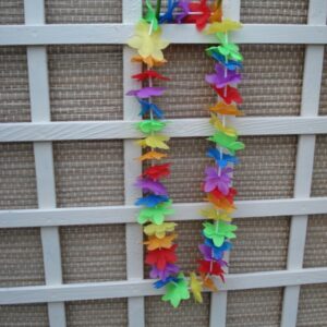 Foto van Hawaii slinger voor om de nek