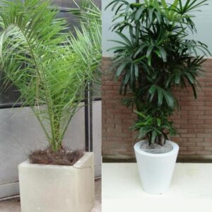 Potten afgewerkt met vliesdoek (wit/crème)