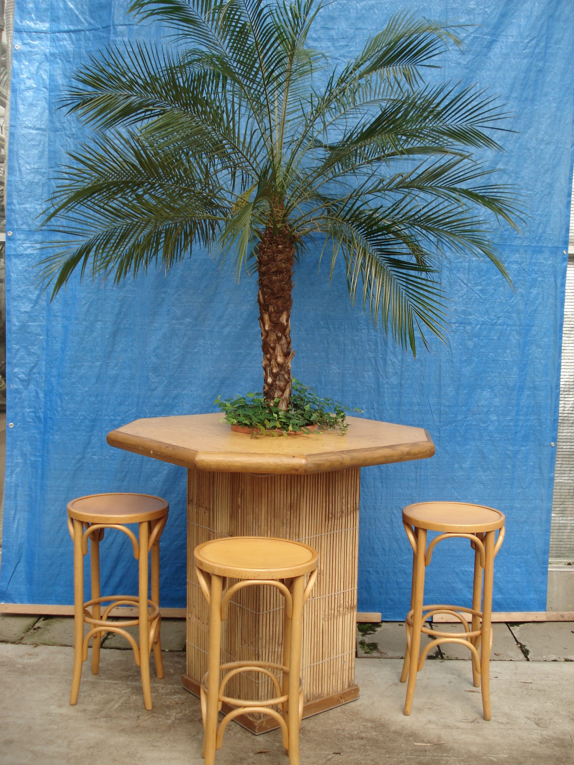 185_Bamboe_statafel_set_115_x_115_x_260_cm_lxbxh