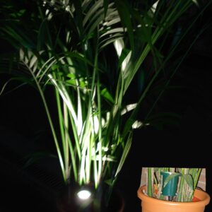 Plantenspot LED 5 watt vloerplaatje