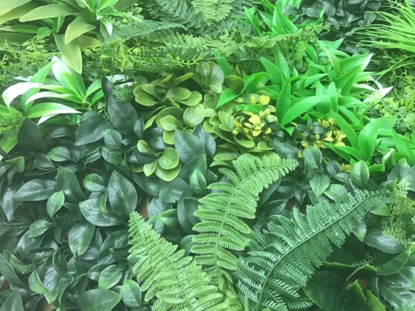 Green Wall - Groene Muur