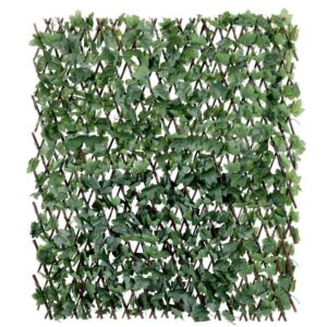 hekje met kunst hedera