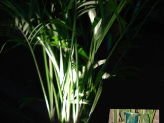 Foto van Plantenspot LED 5 watt vloerplaatje