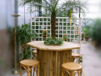 Bamboe statafel met Palm in het midden