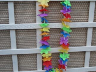 Hawaii slinger voor om de nek