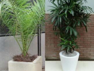 Potten afgewerkt met salim (bruin)