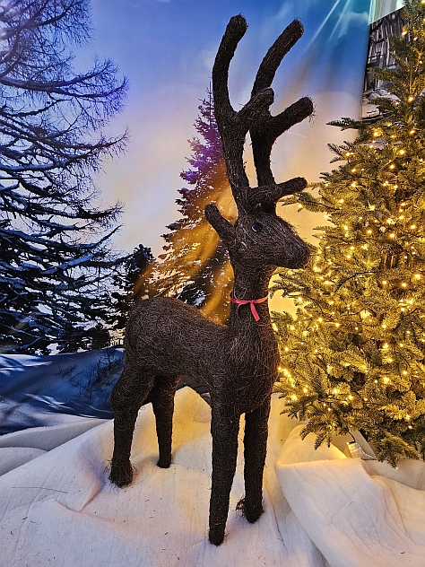 Hert van Salim twijgjes