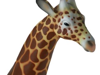 Giraffe (Jong) - Beeld