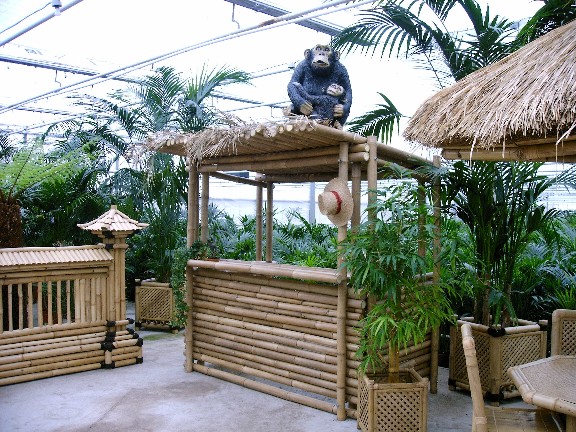 Ibiza Bar - incl. op/afbouw