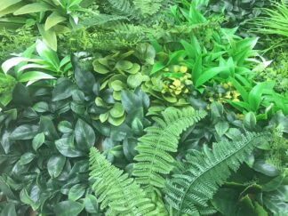 Green Wall - Groene Muur