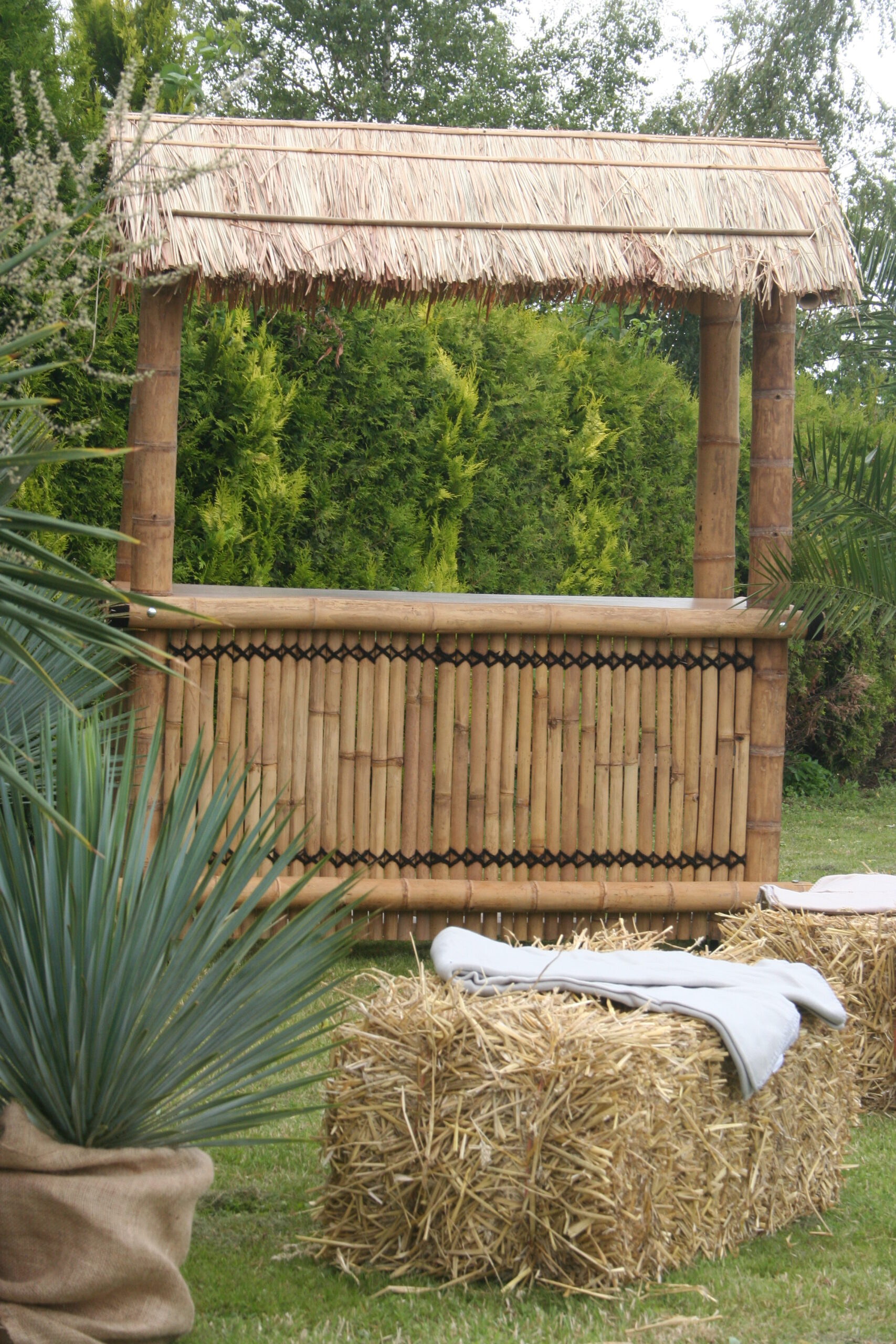 Tikibar - Afbeelding 4