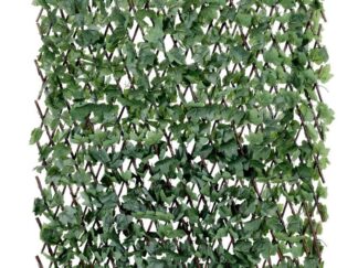 Kunsthaag met Hedera - Green Wall