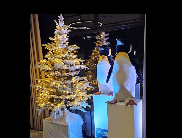 Pinguïn - Afbeelding 5