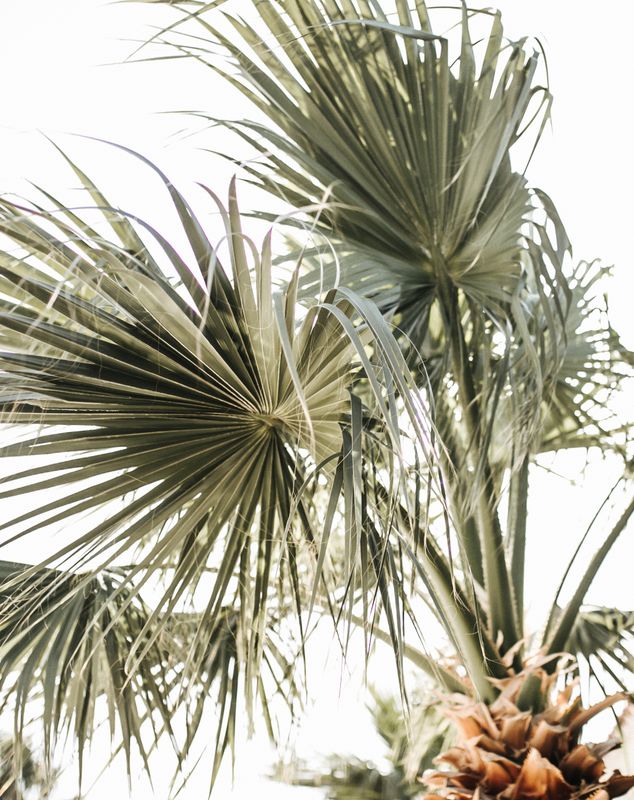 pexels-photo-7406009-1